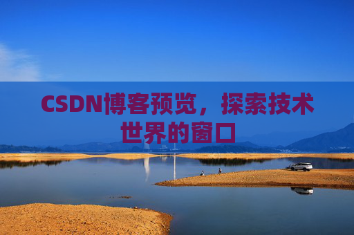 CSDN博客预览,探索技术世界的窗口